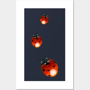 Geometric Lady Bug Posters and Art